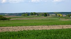 440_TZ60_P1110381_cr