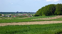 442_TZ60_P1110383_cr