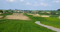 445_TZ60_P1110386_cr