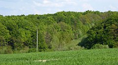 451_TZ60_P1110392_cr