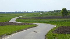 468_TZ60_P1110409_cr