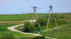 471_TZ60_P1110412_cr