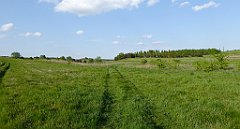 503_TZ60_P1110442_cr