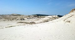 246_A806_IMG_20160529_111942_cr