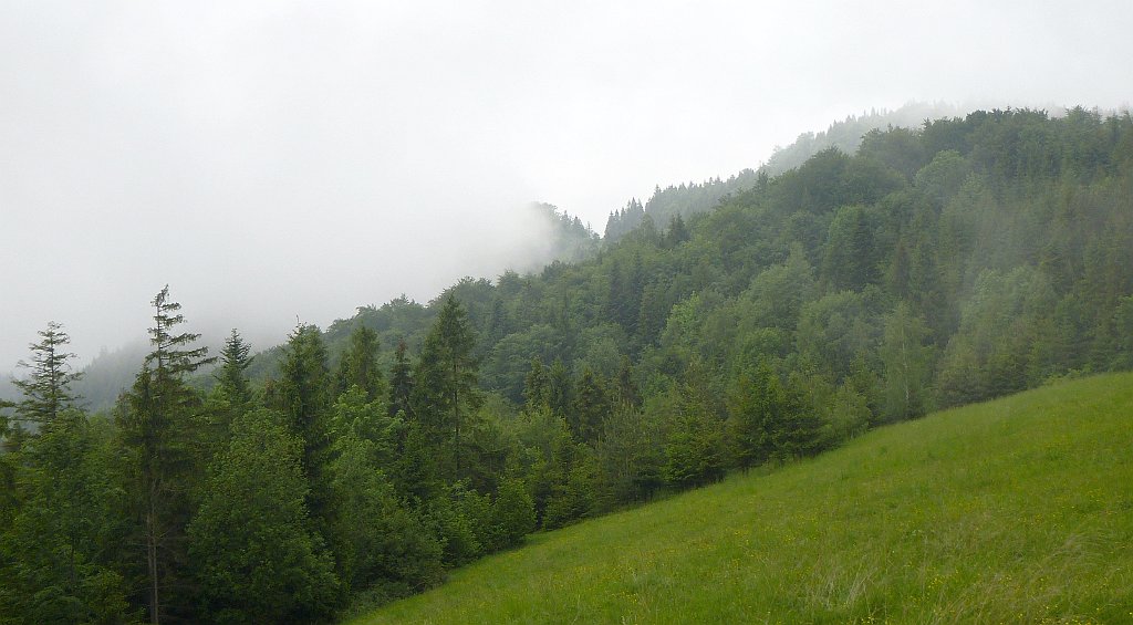 0154_3D_P1080349_cr.jpg