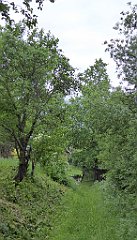 0017_TZ60_P1110545_cr