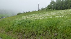 0034_TZ60_P1110561_cr