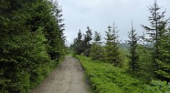 0173_TZ60_P1110585_cr