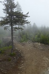 0236_TZ60_P1110600_cr