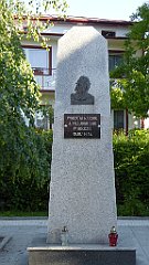 0029_TZ60_P1110621_cr