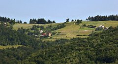 0110_TZ60_P1110690_cr