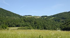 0142_TZ60_P1110714_cr