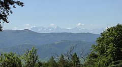 0180_TZ60_P1110756_cr