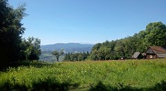 0185b_A806_IMG_20160608_095713_cr