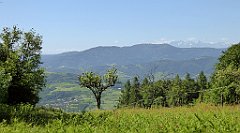 0195_TZ60_P1110772_cr