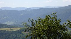 0202_TZ60_P1110779_cr