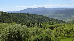 0235_TZ60_P1110797_cr