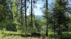 0358_TZ60_P1110854_cr