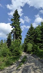 0367_TZ60_P1110857_cr