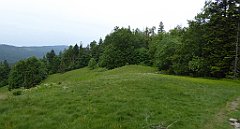 017_TZ60_P1110871_cr