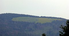 021_TZ60_P1110875_cr