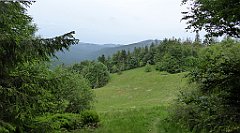 027_TZ60_P1110881_cr