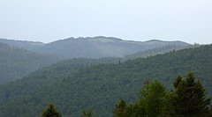 029_TZ60_P1110883_cr