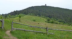 038_TZ60_P1110890_cr