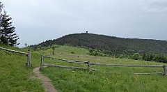 046_TZ60_P1110902_cr