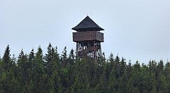 048_TZ60_P1110904_cr