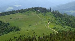 075_TZ60_P1110944_cr