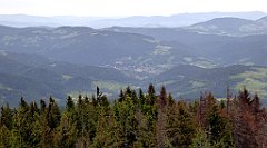 103_TZ60_P1110971_cr