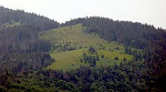 107_TZ60_P1110975_cr