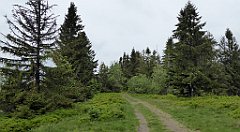 123_TZ60_P1110982_cr