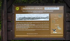 130_TZ60_P1110988_cr