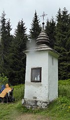 139_TZ60_P1110994_cr