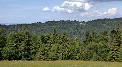 0157_TZ60_P1120098_cr