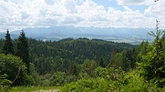 0176b_3D_P1080813_cr