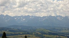 0182_TZ60_P1120114_cr