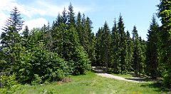 0208_TZ60_P1120128_cr