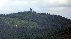 0217_TZ60_P1120136_cr