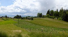 0228_TZ60_P1120142_cr