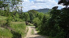 0235_TZ60_P1120149_cr