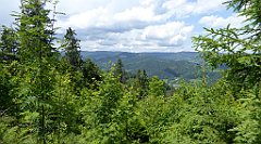 0265_TZ60_P1120162_cr