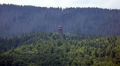 0267_TZ60_P1120164_cr