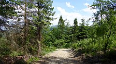 0274_TZ60_P1120167_cr