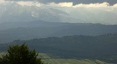 0297_TZ60_P1120189_cr