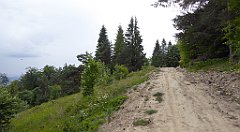 0301_TZ60_P1120193_cr