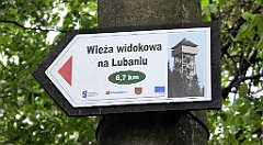 0311_TZ60_P1120198_cr