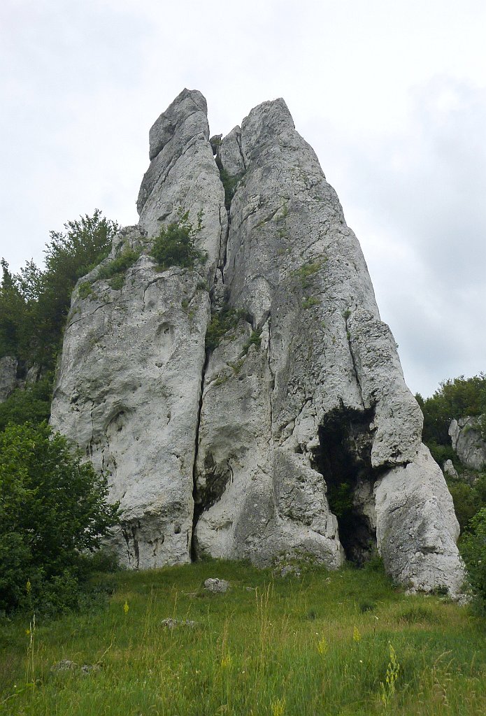 0260_3D_P1090134_cr.jpg